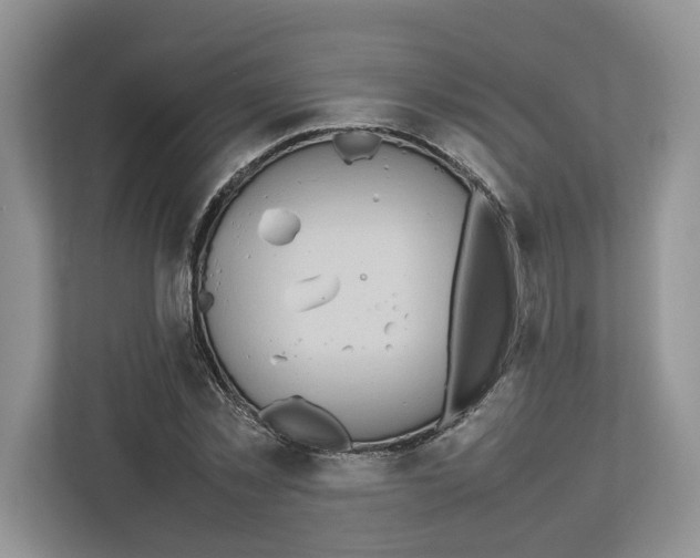 X0000112490781200909141203