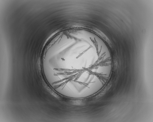 X0000112490798200909141203