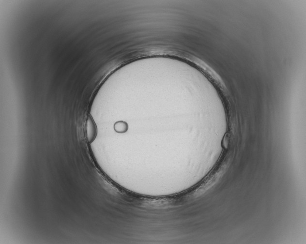 X0000112490801200909141203