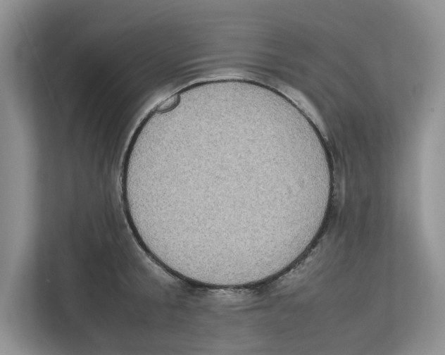 X0000112490805200909141203