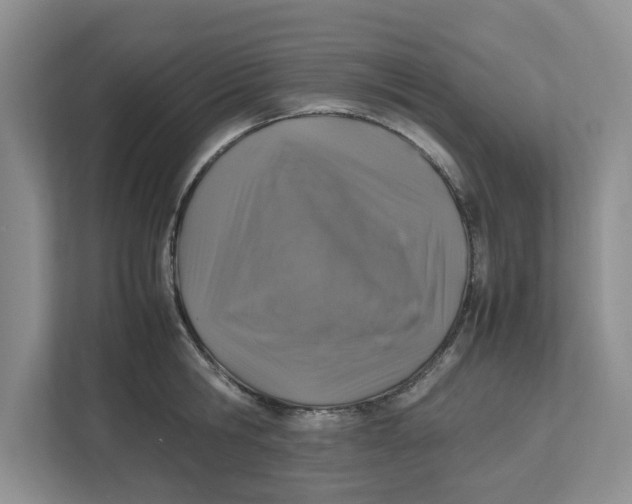 X0000112490806200909141203