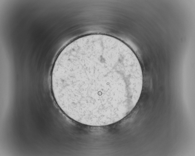 X0000112490807200909141203