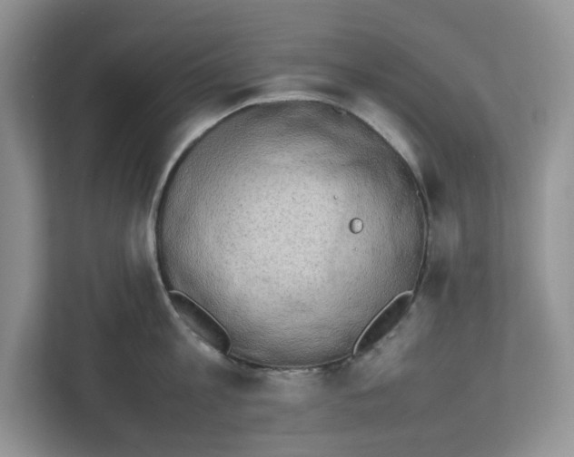 X0000112490813200909141203