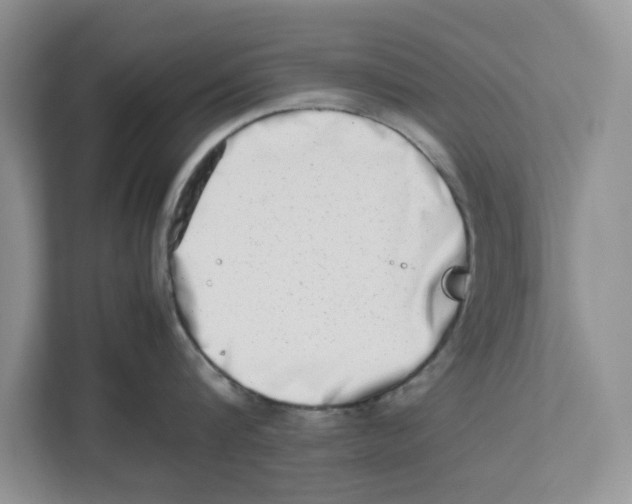 X0000112490816200909141202