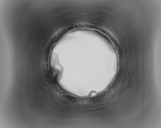 X0000112490823200909141202
