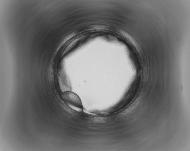 X0000112490827200909141202
