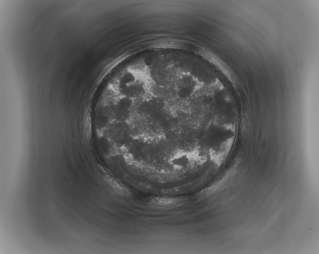 X0000112490829200909141202