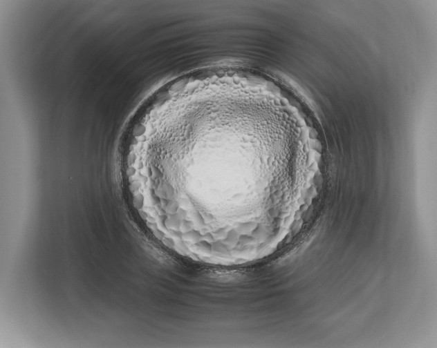 X0000112490835200909141202