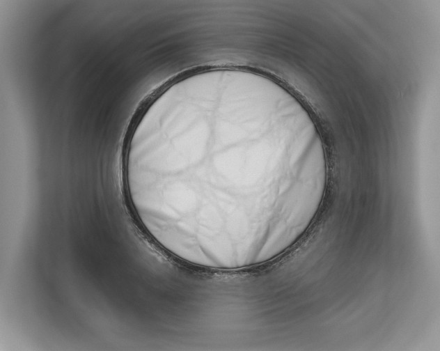 X0000112490840200909141202