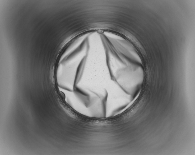 X0000112490842200909141202
