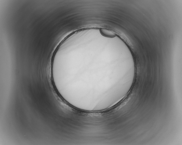 X0000112490844200909141202