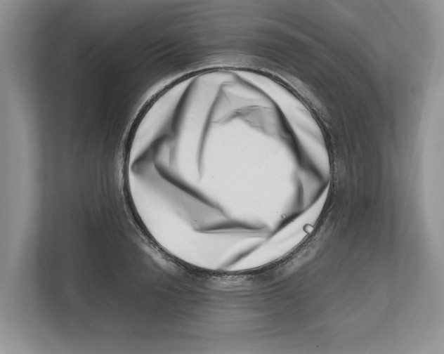 X0000112490846200909141202