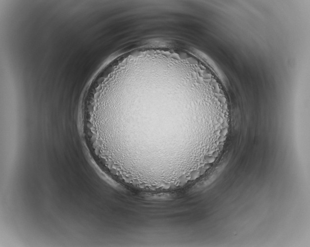 X0000112490851200909141202