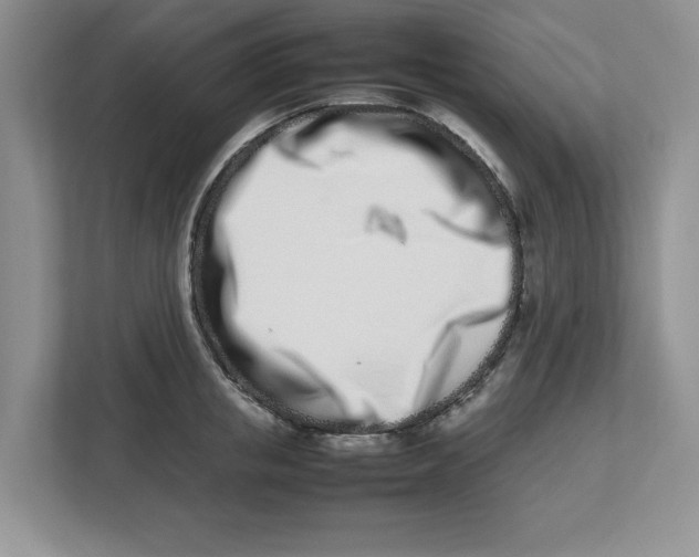 X0000112490853200909141202