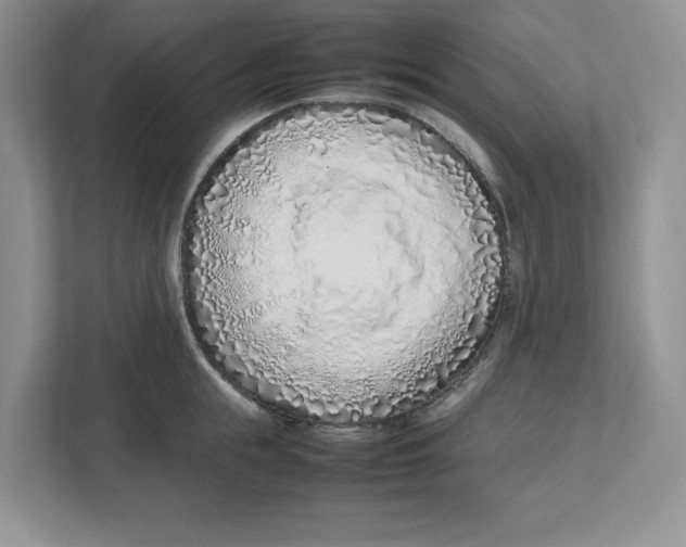 X0000112490855200909141202