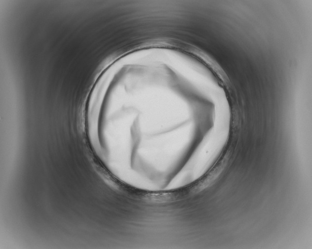 X0000112490858200909141202