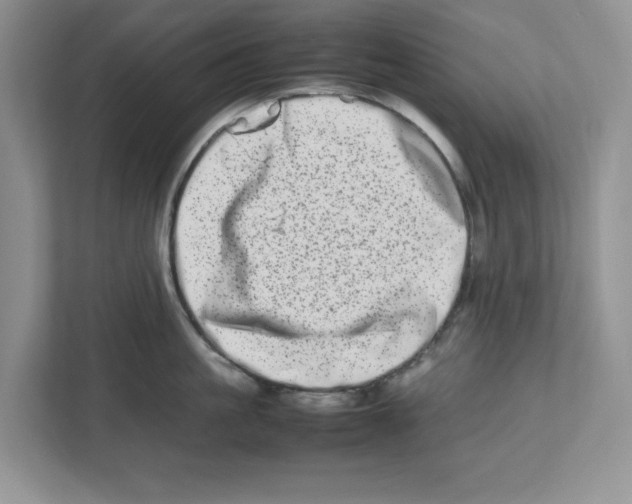 X0000112490861200909141202