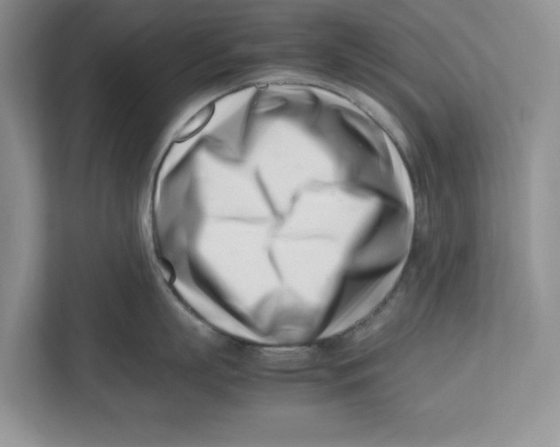 X0000112490863200909141202