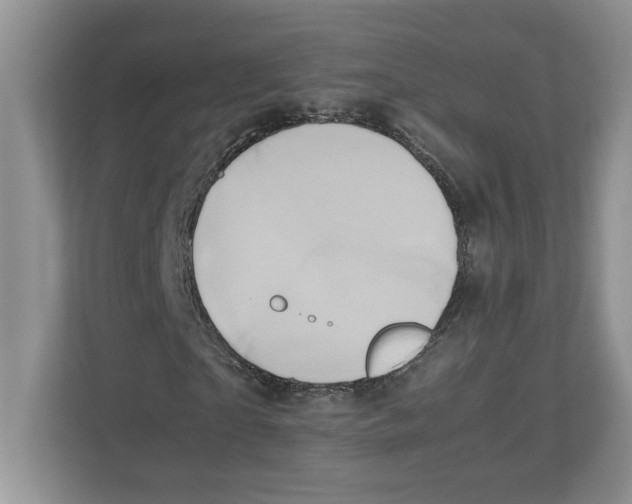 X0000112490865200909141202