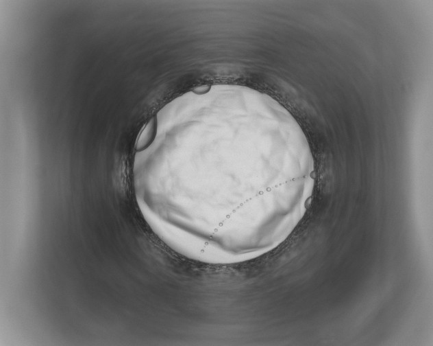 X0000112490866200909141202