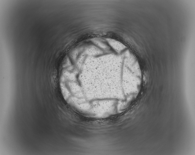 X0000112490867200909141202