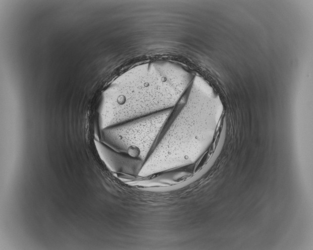 X0000112490868200909141202