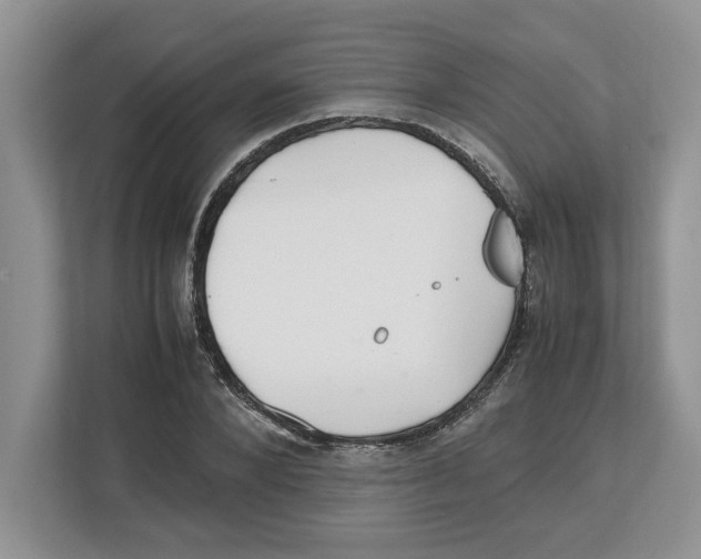 X0000112490880200909141202