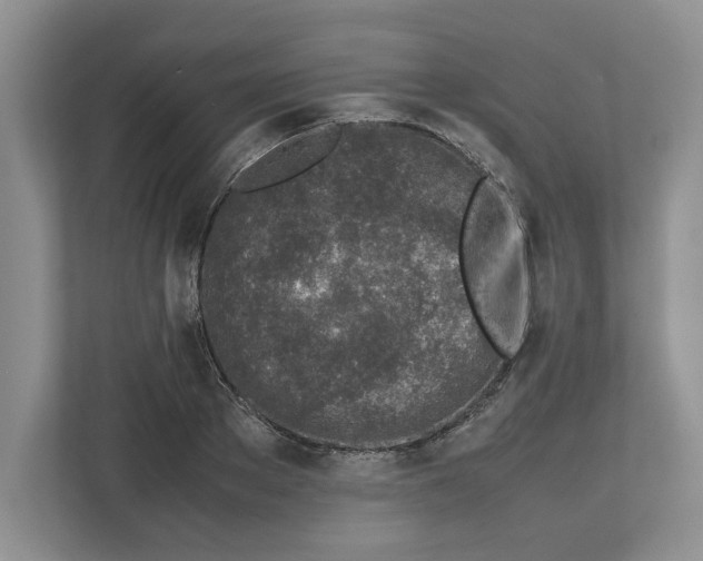 X0000112490889200909141201