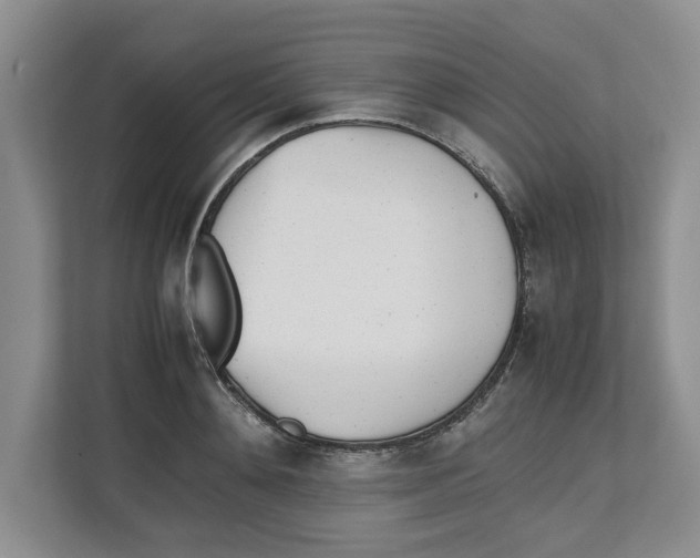 X0000112490892200909141201