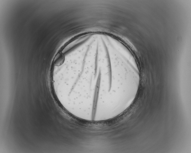 X0000112490895200909141201