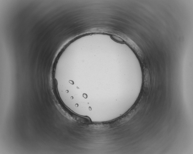 X0000112490896200909141201