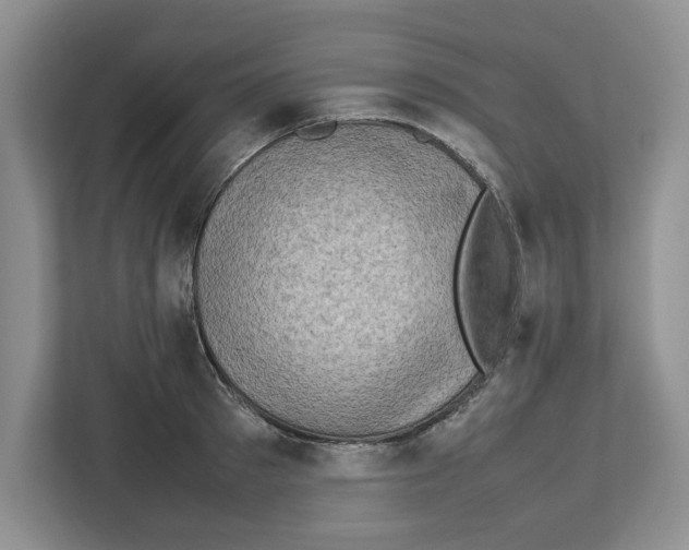 X0000112490897200909141201
