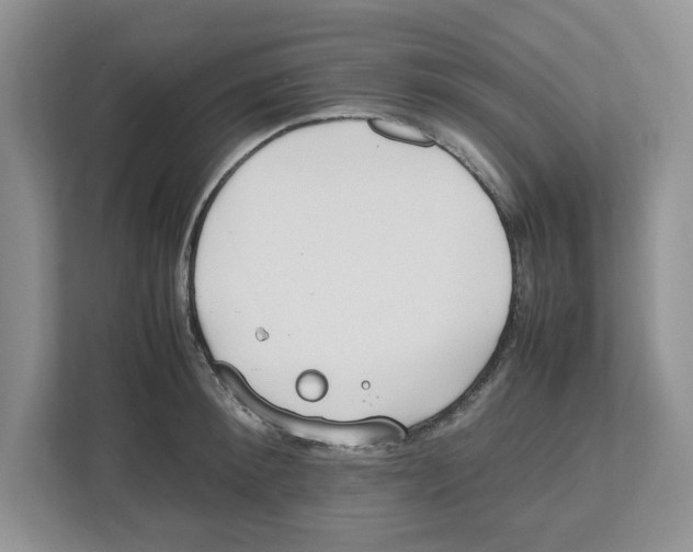 X0000112490900200909141201