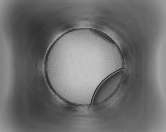 X0000112490901200909141201