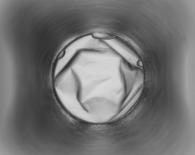 X0000112490902200909141201