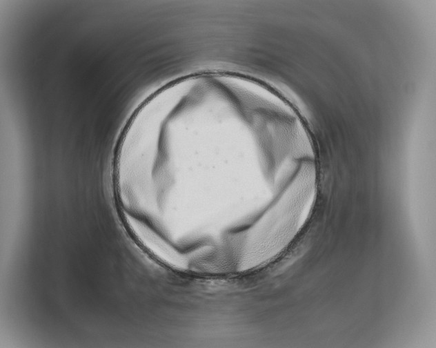 X0000112490903200909141201