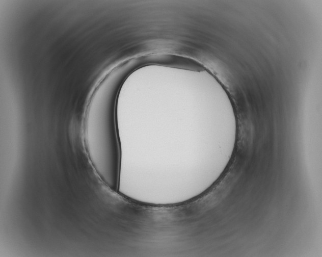 X0000112490904200909141201