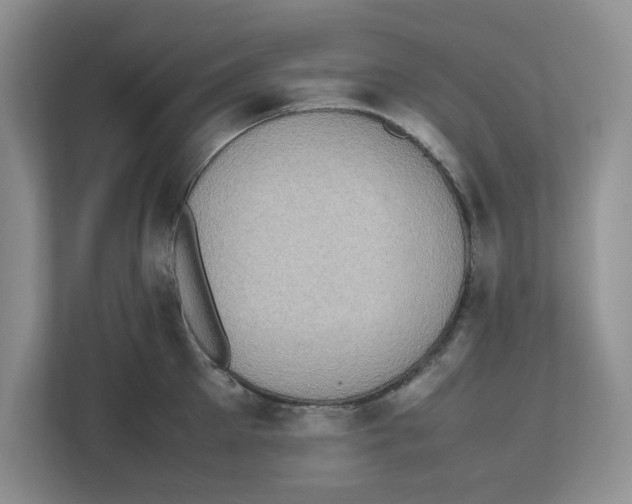 X0000112490905200909141201