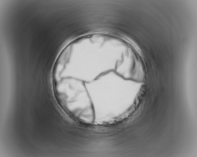 X0000112490907200909141201