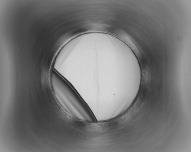 X0000112490908200909141201