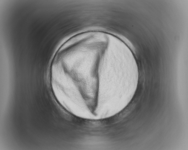 X0000112490911200909141201