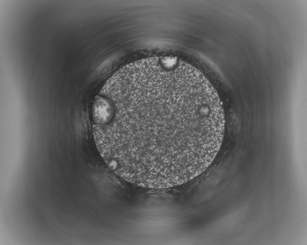 X0000112490918200909141201