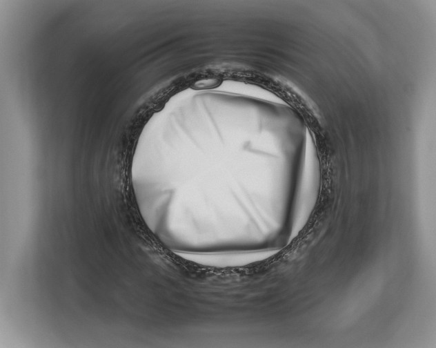 X0000112490919200909141201