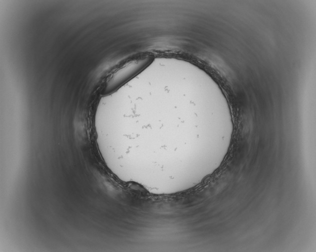 X0000112490920200909141201