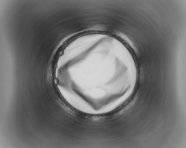 X0000112490923200909141201
