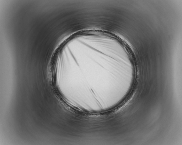 X0000112490925200909141201