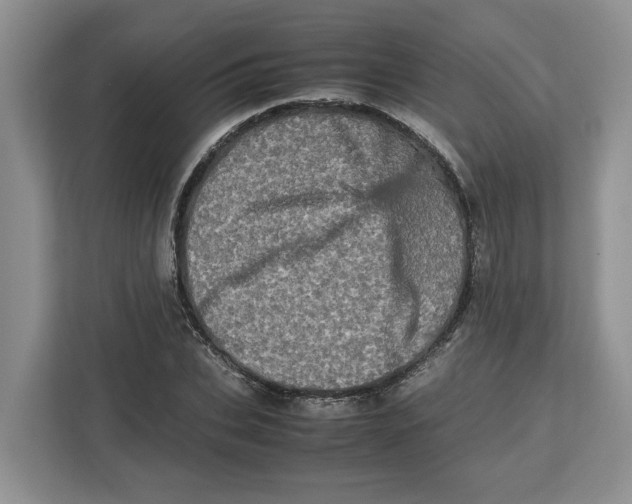 X0000112490927200909141201