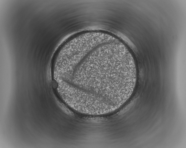 X0000112490934200909141201