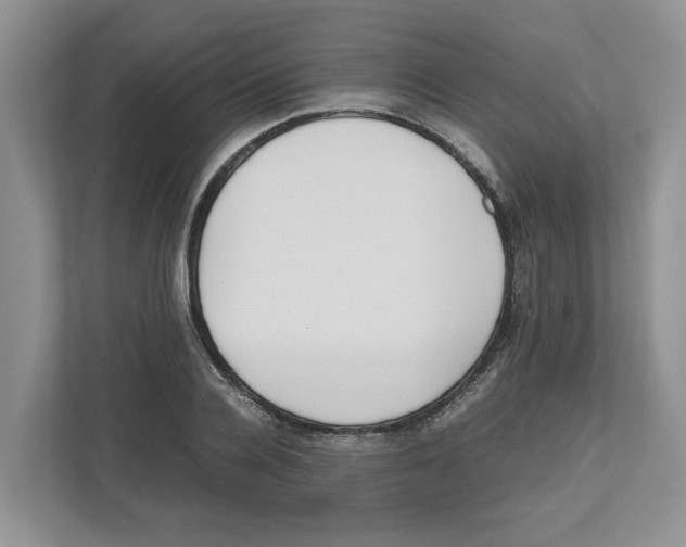 X0000112490936200909141201