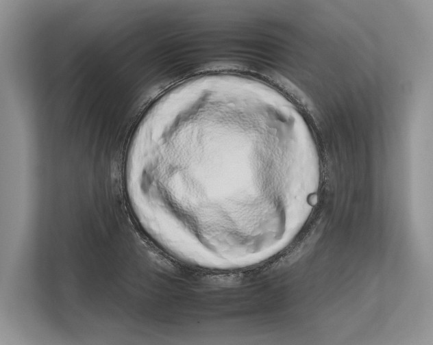 X0000112490937200909141201